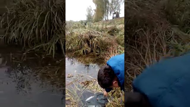 VID 20190928 WA0081 смотреть онлайн