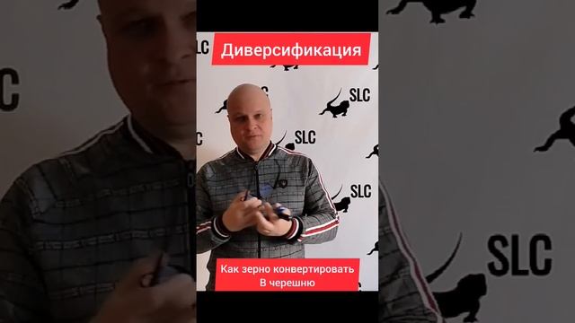 Стратегия диверсификации в сельском хозяйстве. 100 гектар под зерно - это сколько в ГА с черешней смотреть онлайн
