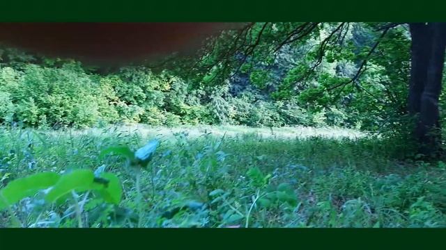 песни на гармони / баяне смотреть онлайн