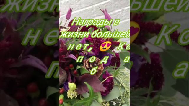 Дарите женщинам цветы..🌹🌹🌹 смотреть онлайн