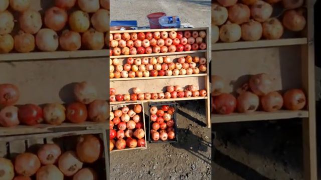 Гранатовый сок натуральный смотреть онлайн