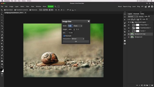 Fix Photopea Lag Problem - The Quickest And Easiest Way!  (It’s So Simple)