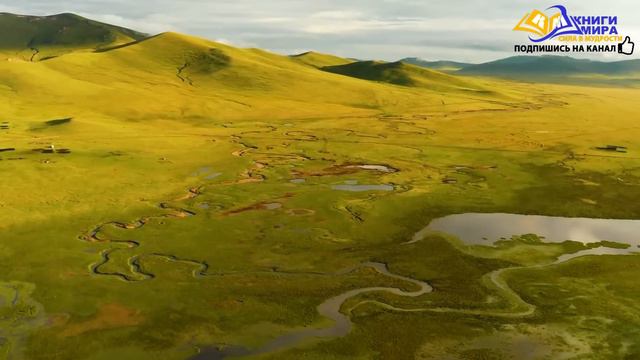 Отключение системного Мышления Матрицы и Активация Ясного Виденья! НИКОШО и Роберт Адамс смотреть онлайн