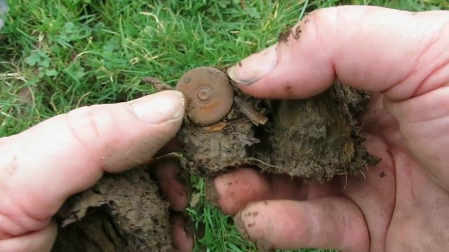 SILVER Coin Found on the GOLD RING & SAXON Field! смотреть онлайн