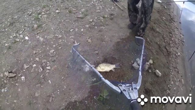 12 сентября 2022 г. смотреть онлайн