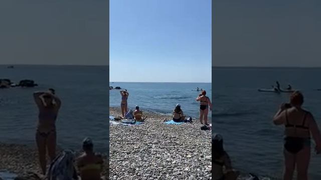 Дельфин Вардане смотреть онлайн