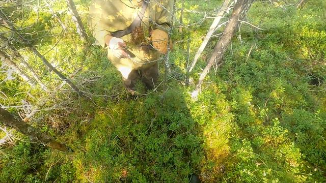 Неизданное 2022/2023 год смотреть онлайн