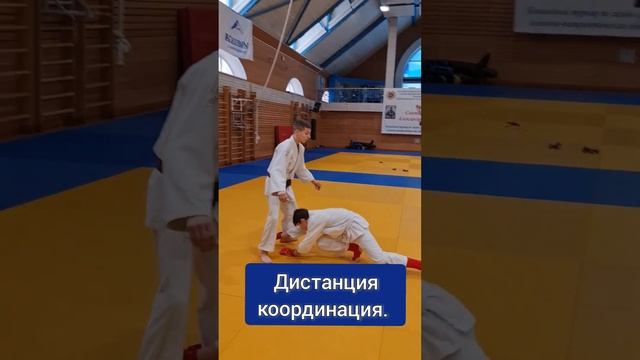 У нас тепло, и не дует. #здоровье #борьба #джиуджитсу #зож #кшвсм смотреть онлайн