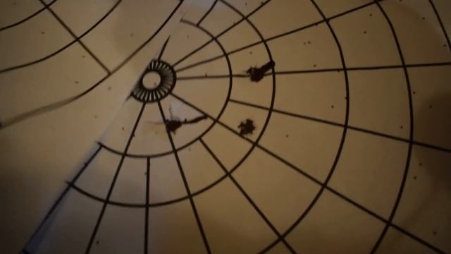 Пулей из ТОЗ-34 ☝ Сострел стволов на двустволке и немного пострелушек :) смотреть онлайн