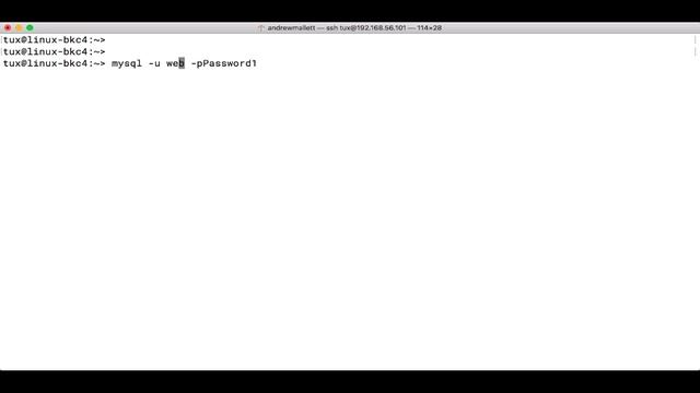 Read MariaDB Table Schema смотреть онлайн