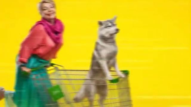 Pokupochka смотреть онлайн