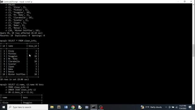 Vlog 259, SQL Outer Joins, Self Joins, and Unions - Learning Software Development смотреть онлайн