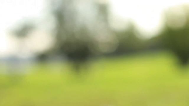 Как быть успешным ? | Секрет счастья смотреть онлайн