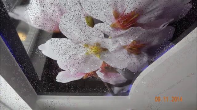 Натяжные потолки SINDEL в Туле смотреть онлайн