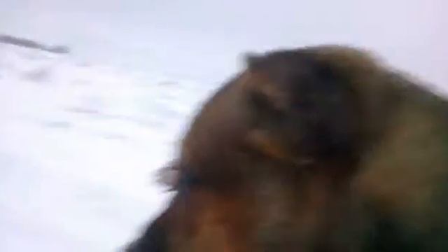 Бешеные сани 07.01.13 смотреть онлайн