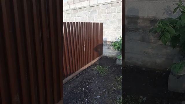 Новое место для собаки своими руками смотреть онлайн