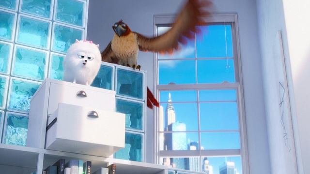 Тайная жизнь домашних животных 2016 смотреть онлайн