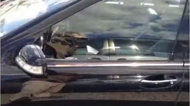 2003 Mercedes-Benz S-Class Used Cars Millersville MD смотреть онлайн