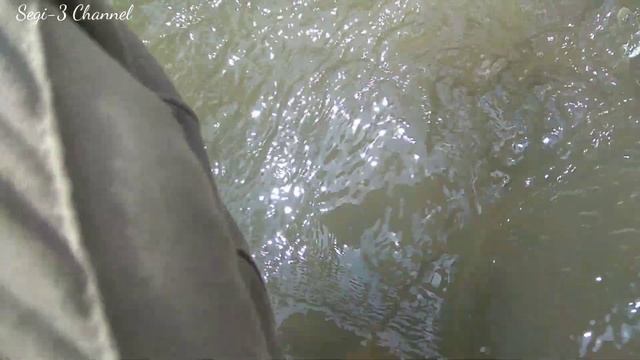 Test Hunting Part-2 , Gp Pointer Metal Detector Modifikasi!!