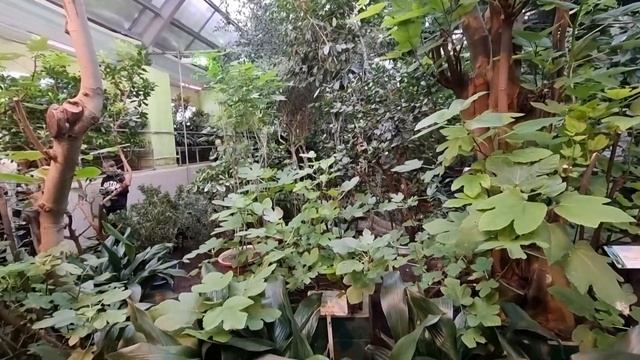 Заполярный самый северный Ботанический сад в Кировске март 2023