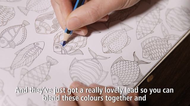 Джоанна Бэсфорд выбирает карандаши, ручки Staedtler