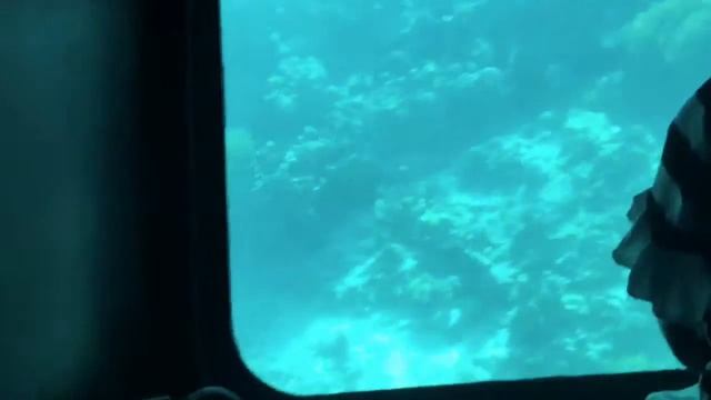 День ??? Подводное плавание??? смотреть онлайн