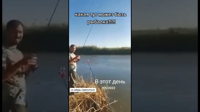 ??? #клеврыбы #рыбалка #сазан #сом #жизнь #красота #природа2023 #моторнаялодка #лодкадлярыбалки смотреть онлайн