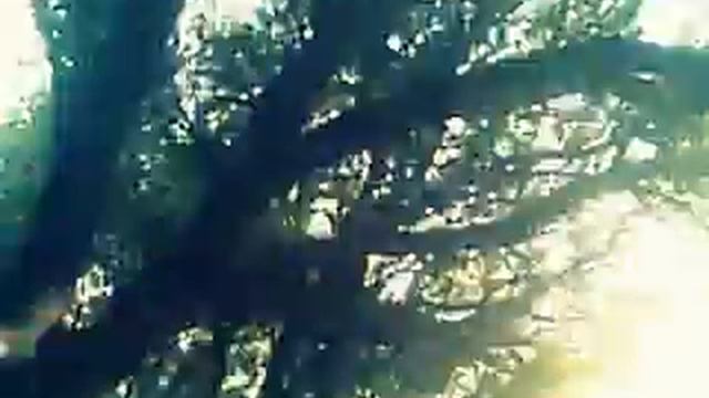 Наелся смотреть онлайн