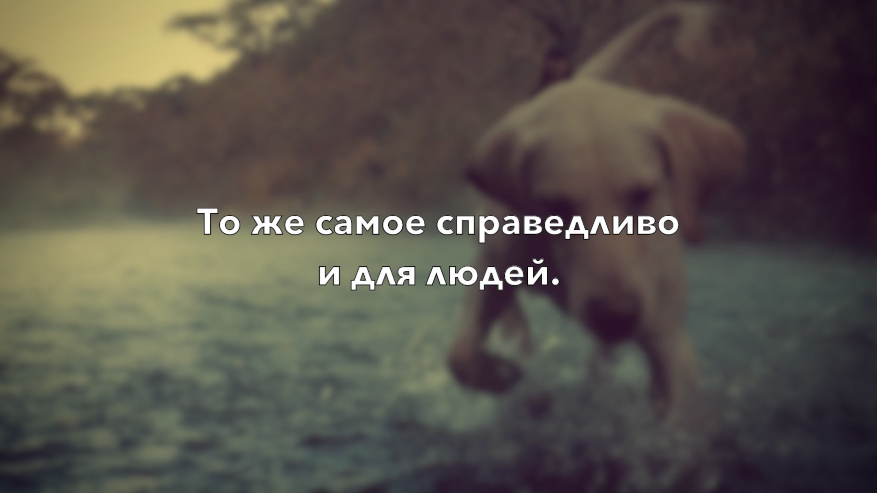 ГДЕ НАЙТИ РАДОСТЬ? смотреть онлайн