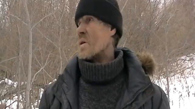 Сравнительный анализ смотреть онлайн