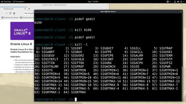 Monitoring and Managing Processes on Oracle Linux смотреть онлайн