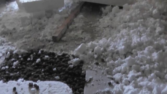 7.124 ПЕНОИЗОЛ - КОВАРНЫЙ ЗВЕРЬЬ.. ФАКТЫ. смотреть онлайн