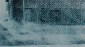 Девушка с татуировкой дракона