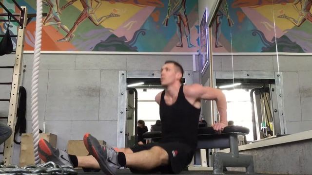 13. Отжимания от скамьи из упора сзади. смотреть онлайн