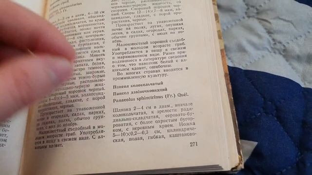 Веганская Кухня