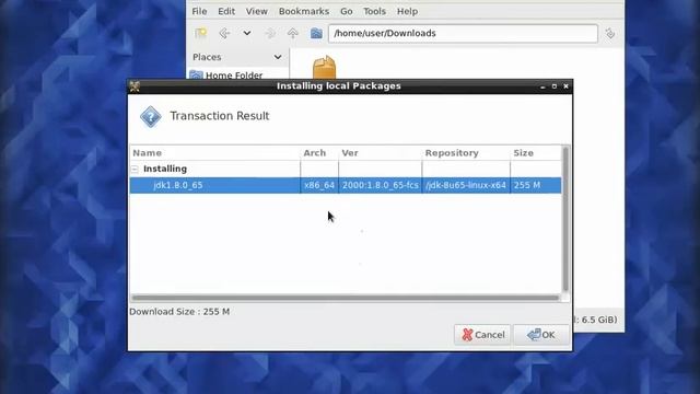 Installing JDK Fedora - 01 - Download and Install JDK смотреть онлайн