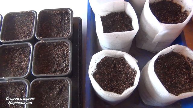 Весенние огурцы. Какие сорта и как сажать. смотреть онлайн