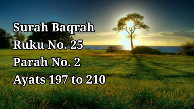 Surah Baqrah || Ruku no.25 || Ayats 197 to 210 || Quran with Urdu translation . смотреть онлайн