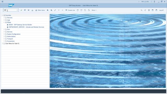 14/37 WEB SERVICES - SAP GATEWAY смотреть онлайн