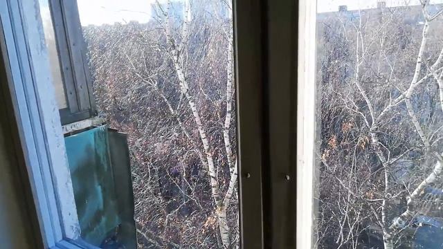 2-х комнатная квартира - улица Шоссе Энтузиастов дом 96 к4 смотреть онлайн