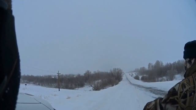 Охота на зайцев - Первая загонная охота смотреть онлайн