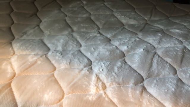 How to Clean Urine From a Mattress смотреть онлайн