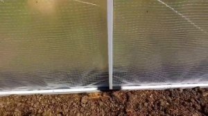 Армированная плёнка на теплицу.