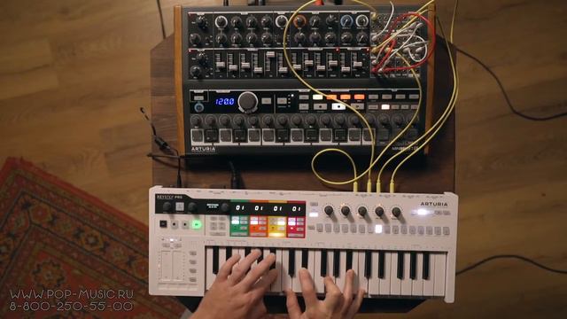 ARTURIA KeyStep Pro - лучший миди контроллер для аналогового синтезатора смотреть онлайн