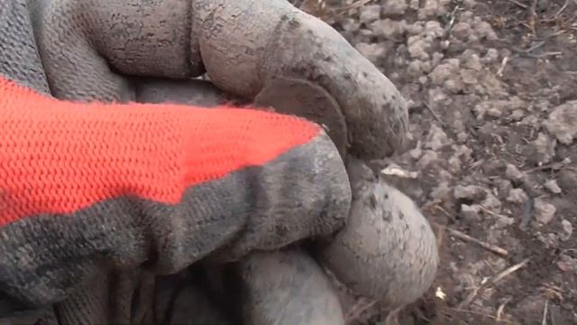 Как эта монета оказалась в наших краях? Поиск с Minelab Equinox 600 смотреть онлайн