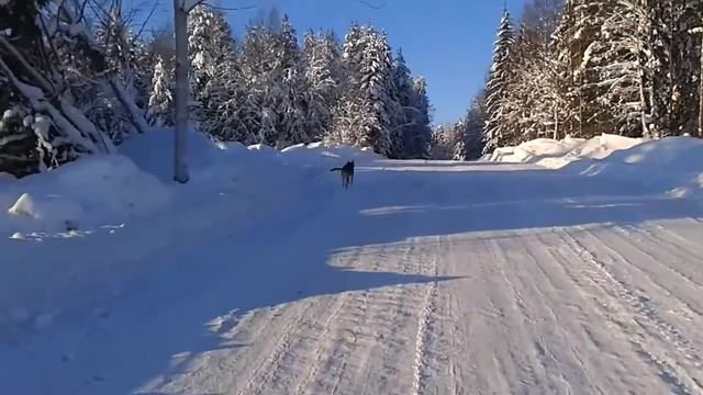 Winter Road Arkhangelsk Region зимняя дорога Архангельская область