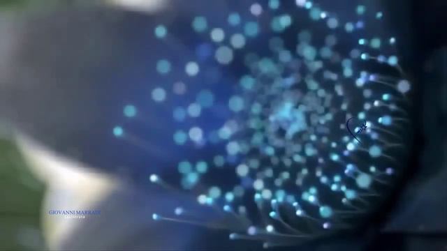 Песня Нарцисса - отрывок из поэмы _Откровения_ смотреть онлайн