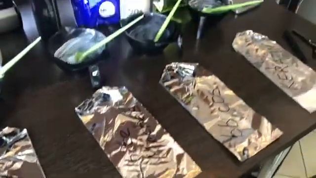 Лучший осветляющий порошок