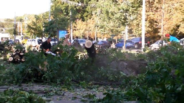 2011.08.26 Харьков, парк Горького. Вместо деревьев оградка! смотреть онлайн