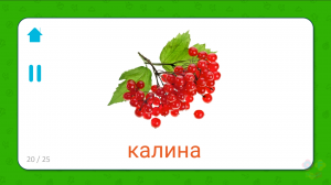 Учим названия Карточки 4